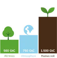 Carbon-sinks