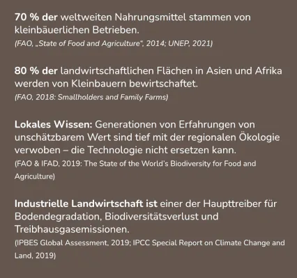 Industrielle Landwirtschaft oder Kleinbauern
